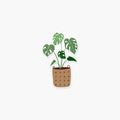 Monstera- Plant Sticker