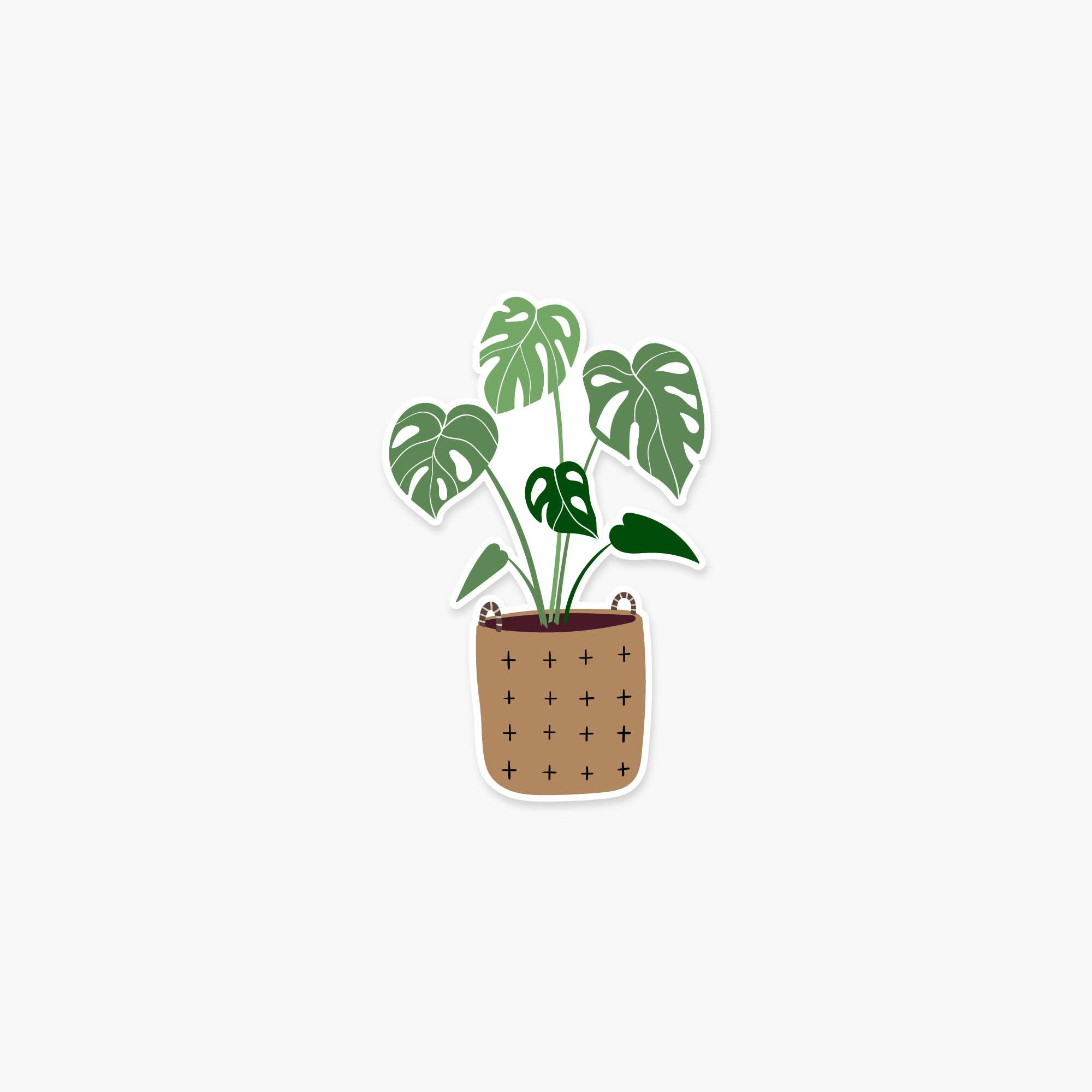 Monstera- Plant Sticker